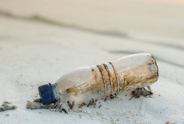 plastica e sostenibilità ambientale