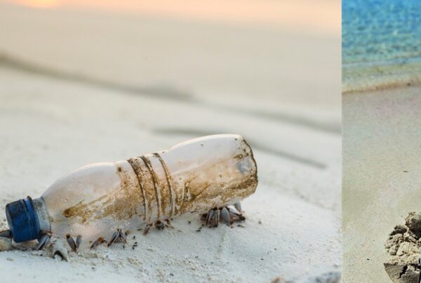 ALKA2O dice no alla plastica